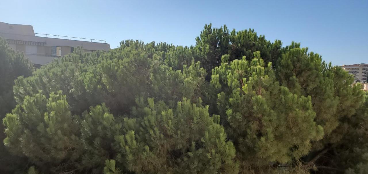 Frejus Plage La Miougrano, T2-3 49M2, 5 Personn Екстер'єр фото